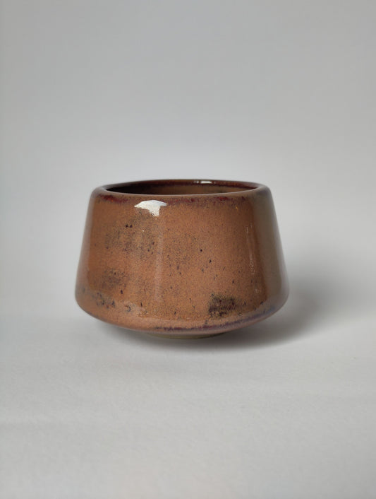 The Earth Cup