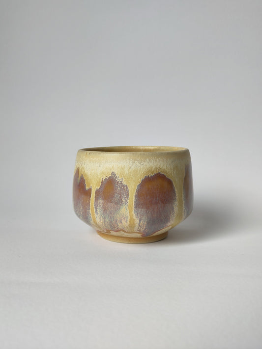 The Dusk Cup