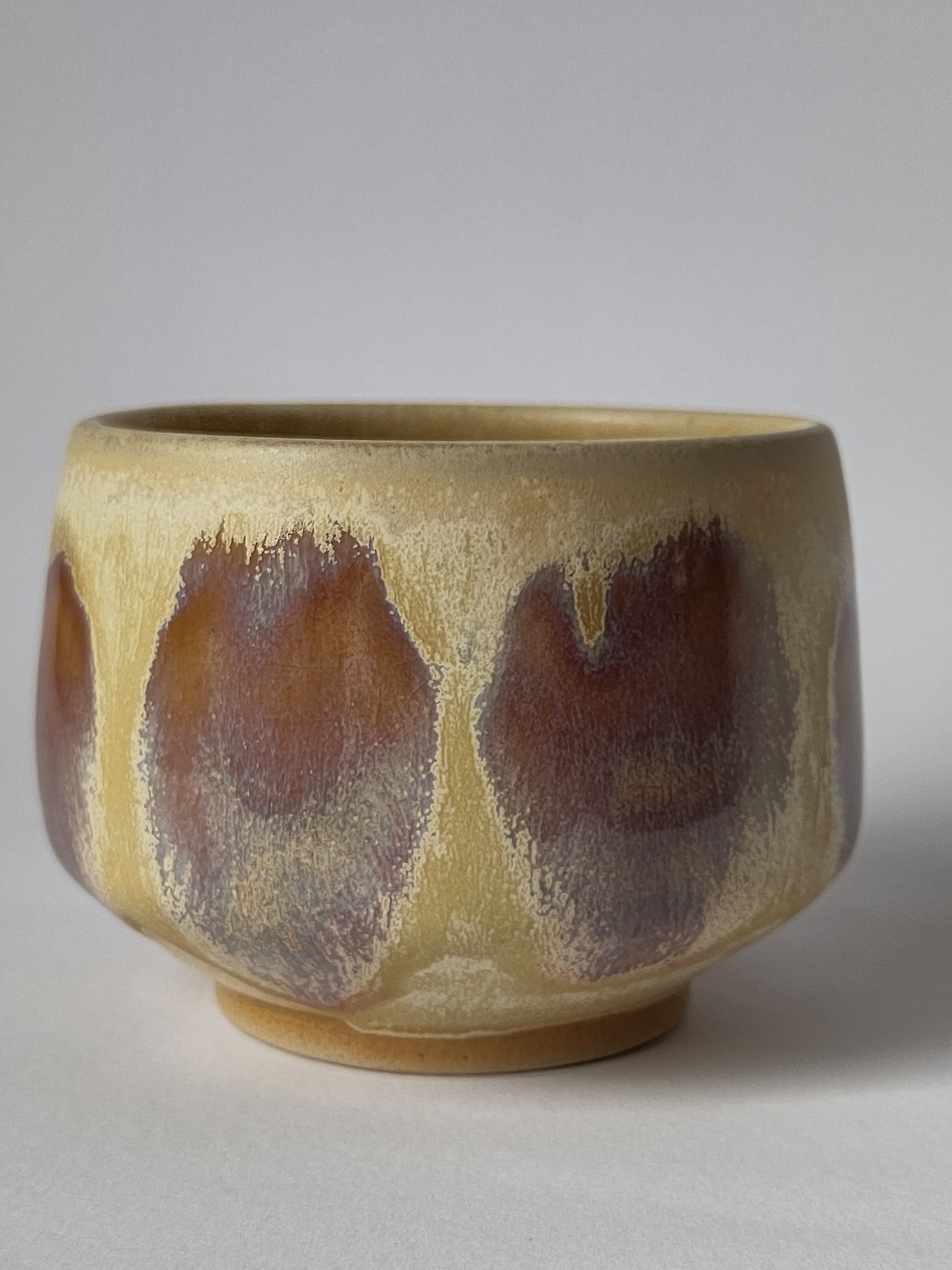 The Dusk Cup