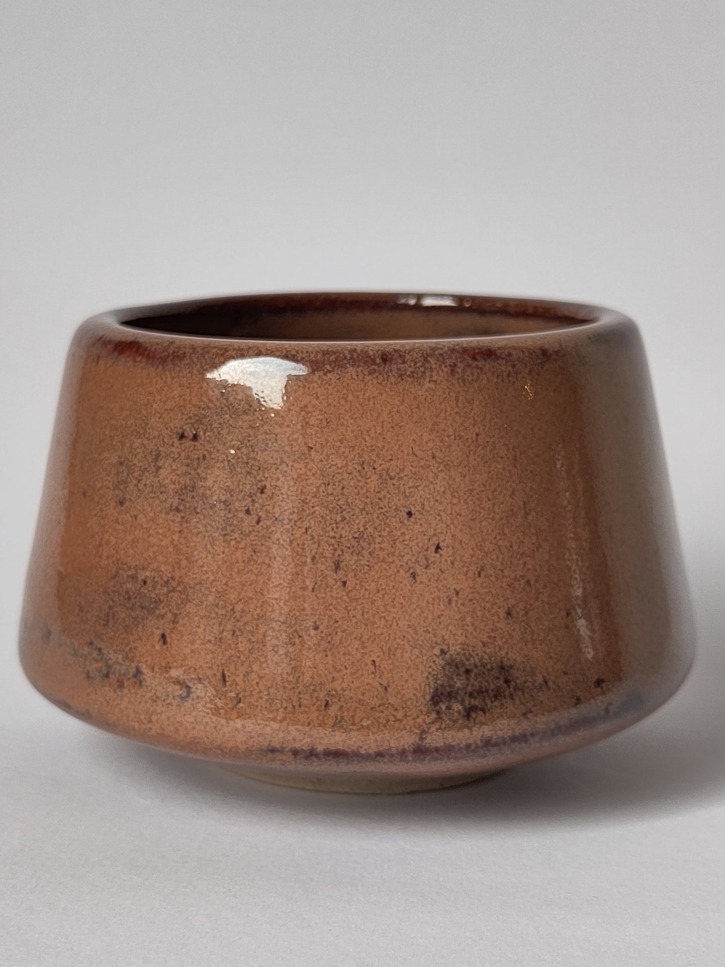 The Earth Cup